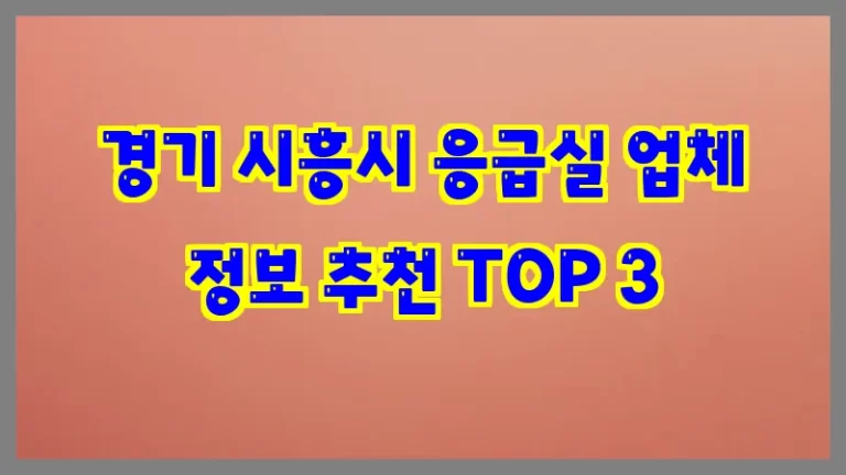 경기 시흥시 응급실 업체 정보 추천 TOP 3