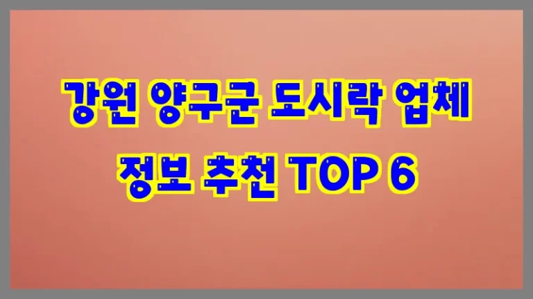 강원 양구군 도시락 업체 정보 추천 TOP 6