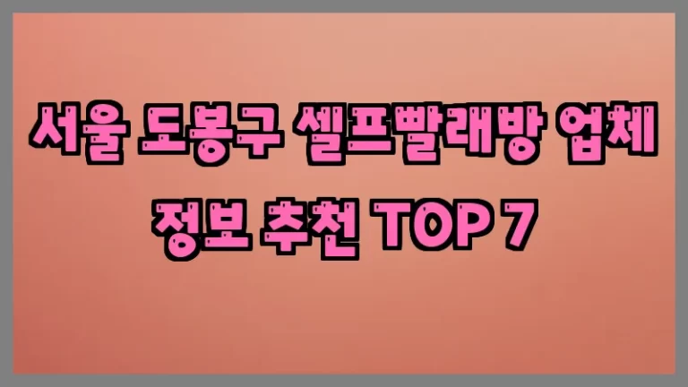 서울 도봉구 셀프빨래방 업체 정보 추천 TOP 7