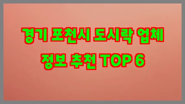 경기 포천시 도시락 업체 정보 추천 TOP 6