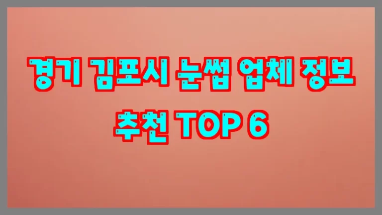 경기 김포시 눈썹 업체 정보 추천 TOP 6