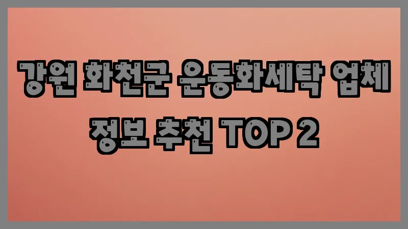 강원 화천군 운동화세탁 업체 정보 추천 TOP 2