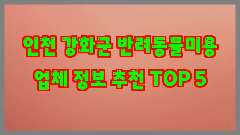 인천 강화군 반려동물미용 업체 정보 추천 TOP 5