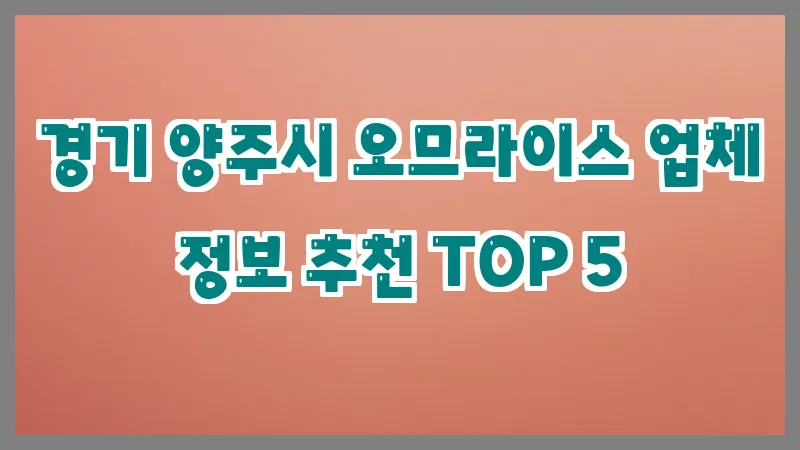 경기 양주시 오므라이스