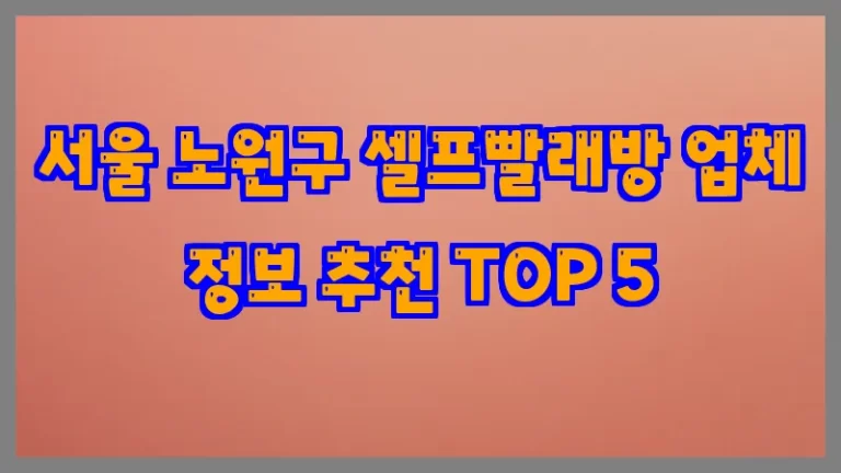 서울 노원구 셀프빨래방 업체 정보 추천 TOP 5