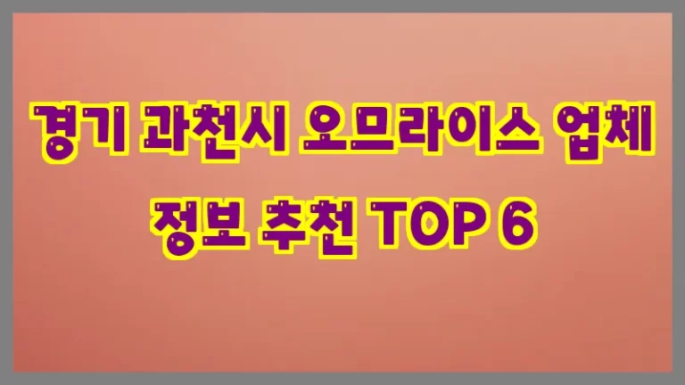 경기 과천시 오므라이스 업체 정보 추천 TOP 6