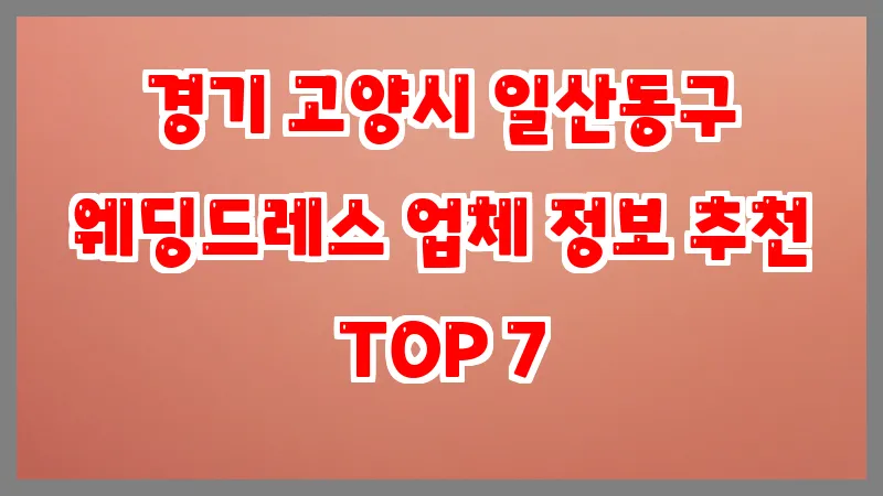 경기 고양시 일산동구 웨딩드레스
