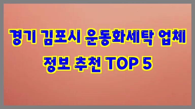 경기 김포시 운동화세탁 업체 정보 추천 TOP 5