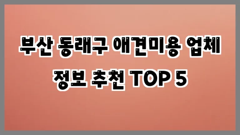 부산 동래구 애견미용 업체 정보 추천 TOP 5