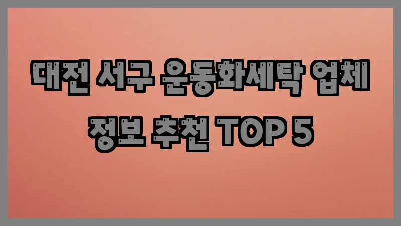 대전 서구 운동화세탁