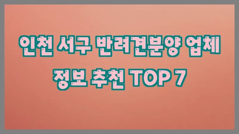 인천 서구 반려견분양 업체 정보 추천 TOP 7