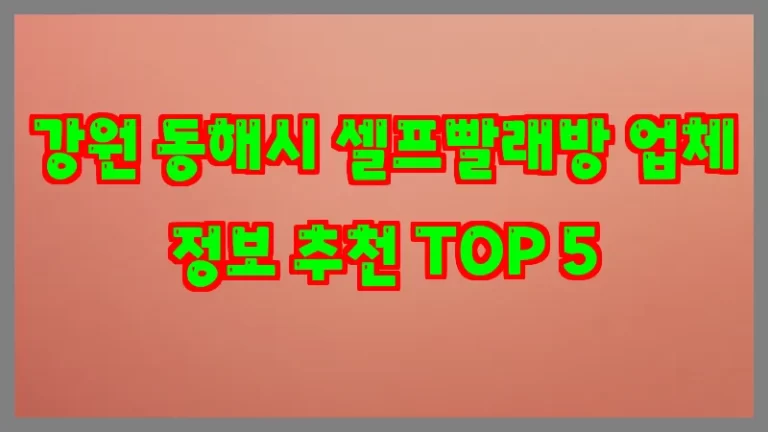 강원 동해시 셀프빨래방 업체 정보 추천 TOP 5