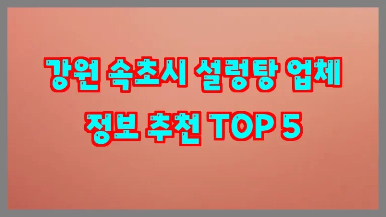 강원 속초시 설렁탕 업체 정보 추천 TOP 5