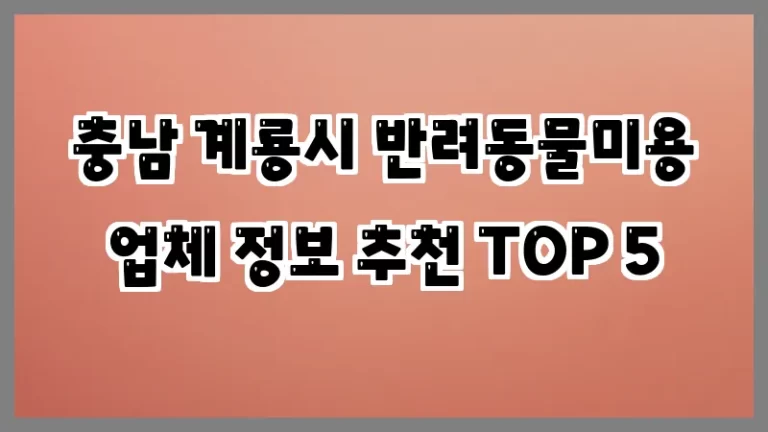 충남 계룡시 반려동물미용 업체 정보 추천 TOP 5