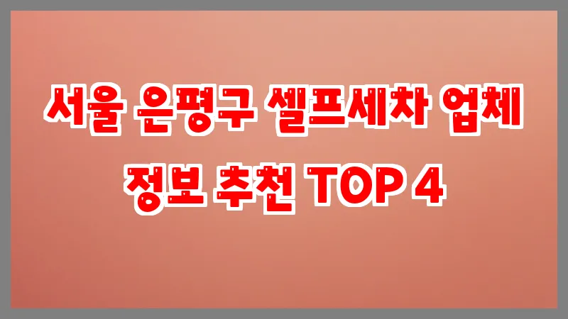 서울 은평구 셀프세차