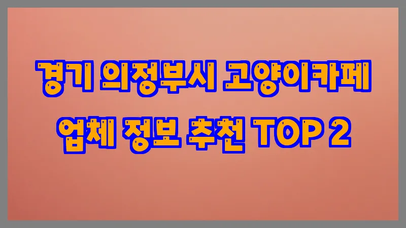 경기 의정부시 고양이카페
