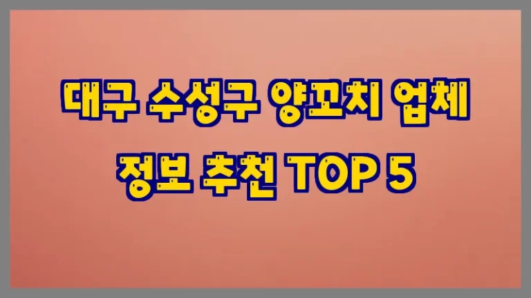 대구 수성구 양꼬치 업체 정보 추천 TOP 5
