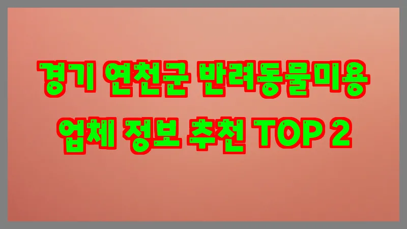 경기 연천군 반려동물미용