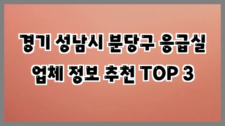 경기 성남시 분당구 응급실 업체 정보 추천 TOP 3