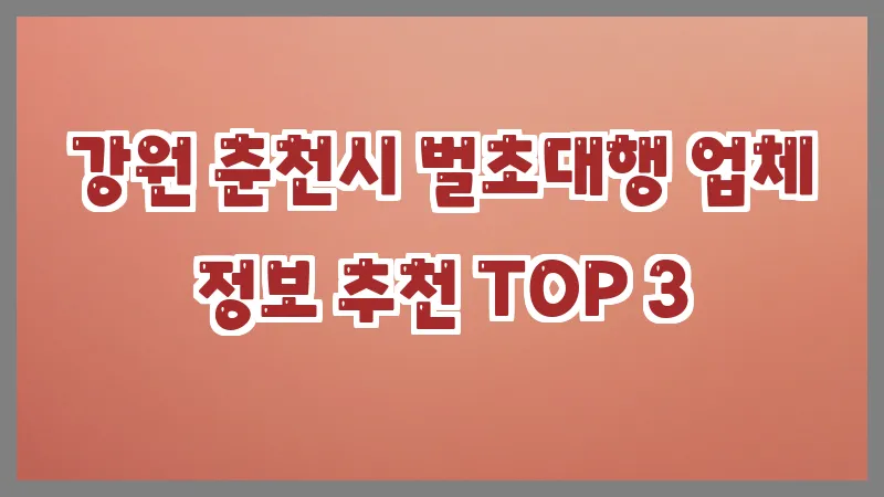 강원 춘천시 벌초대행