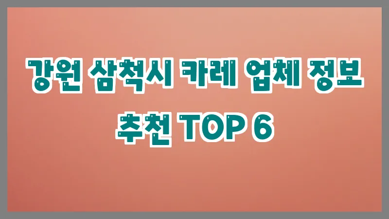 강원 삼척시 카레