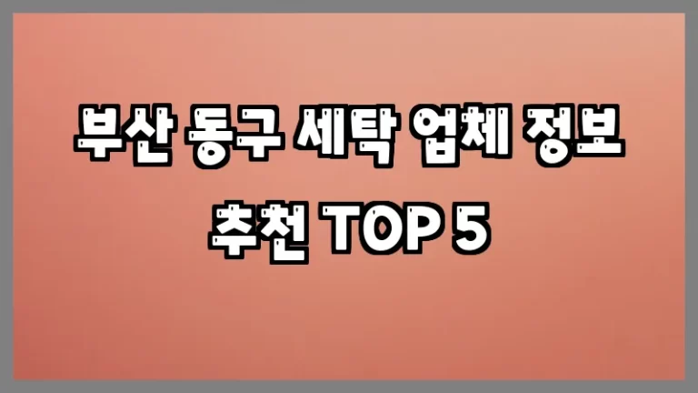 부산 동구 세탁 업체 정보 추천 TOP 5