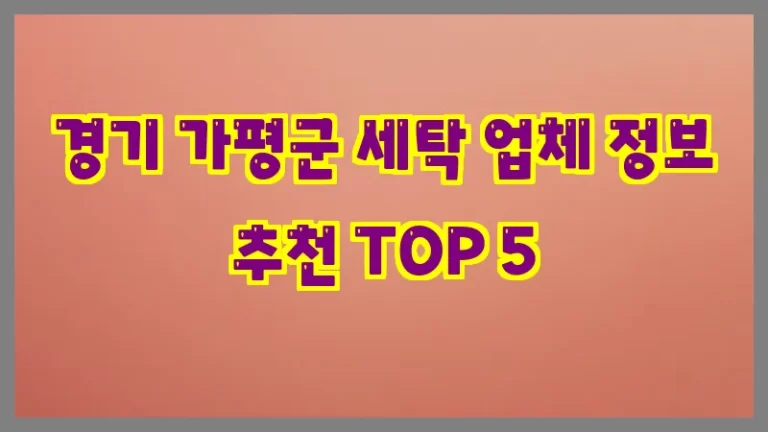 경기 가평군 세탁 업체 정보 추천 TOP 5