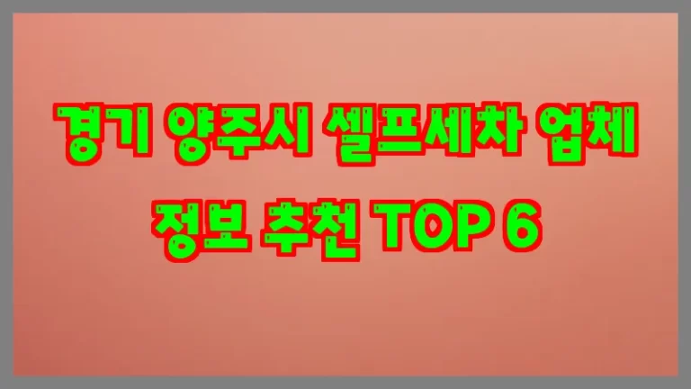 경기 양주시 셀프세차 업체 정보 추천 TOP 6