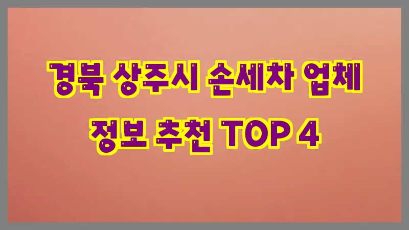 경북 상주시 손세차