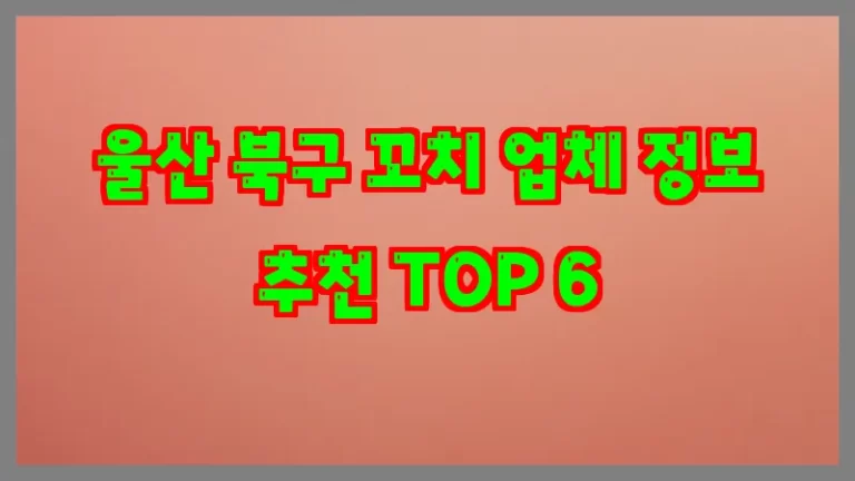 울산 북구 꼬치 업체 정보 추천 TOP 6