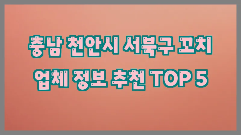 충남 천안시 서북구 꼬치 업체 정보 추천 TOP 5