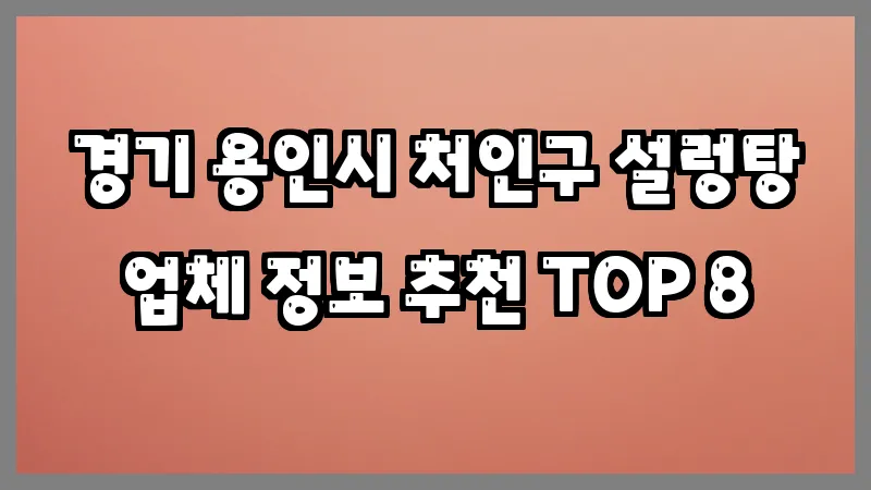 경기 용인시 처인구 설렁탕