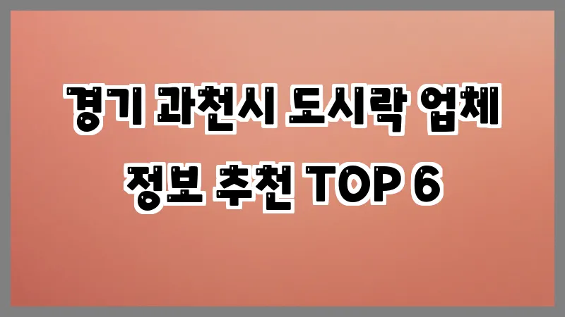 경기 과천시 도시락 업체 정보 추천 TOP 6