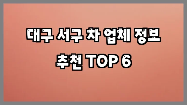 대구 서구 차 업체 정보 추천 TOP 6
