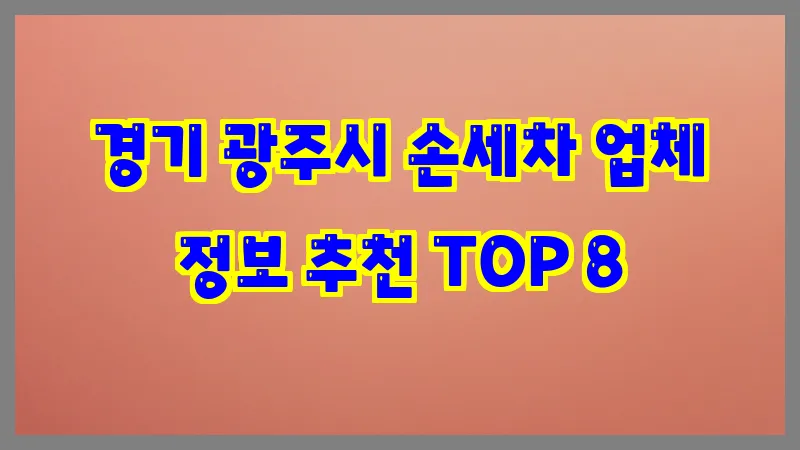 경기 광주시 손세차