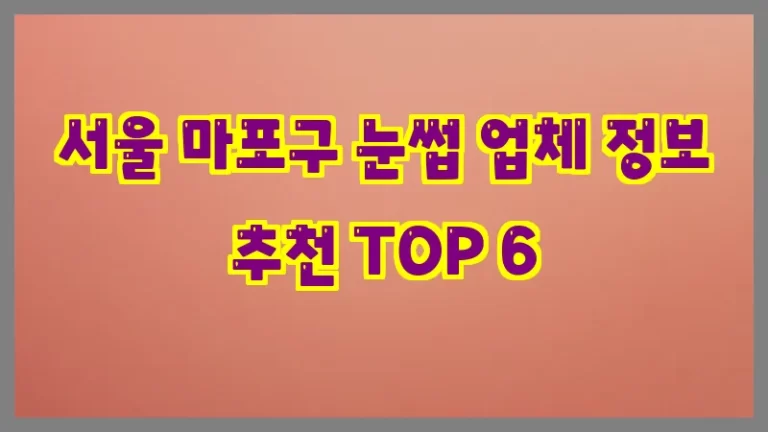 서울 마포구 눈썹 업체 정보 추천 TOP 6