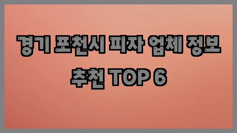 경기 포천시 피자