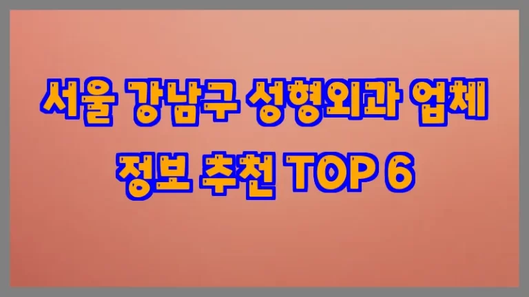 서울 강남구 성형외과 업체 정보 추천 TOP 6