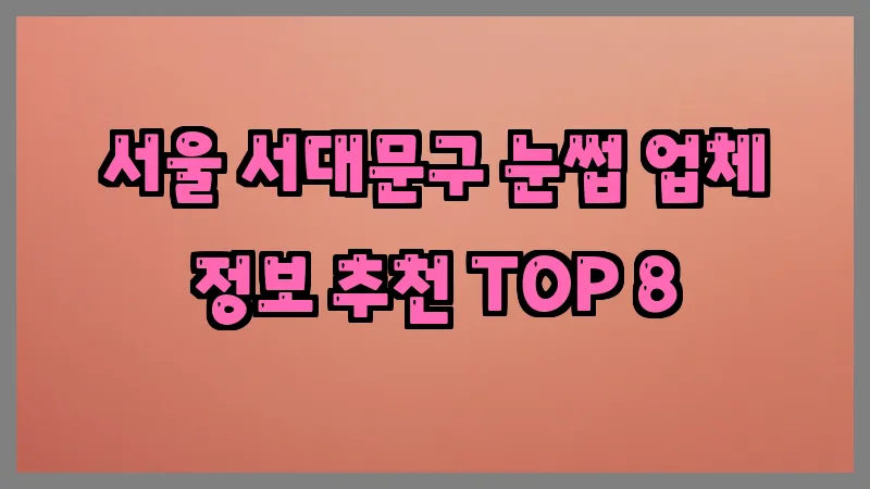 서울 서대문구 눈썹