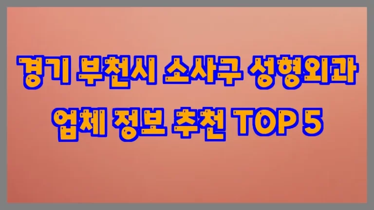 경기 부천시 소사구 성형외과 업체 정보 추천 TOP 5