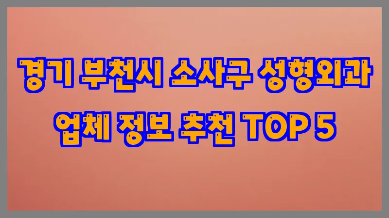 경기 부천시 소사구 성형외과