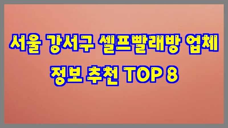 서울 강서구 셀프빨래방 업체 정보 추천 TOP 8