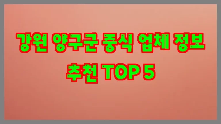 강원 양구군 중식 업체 정보 추천 TOP 5