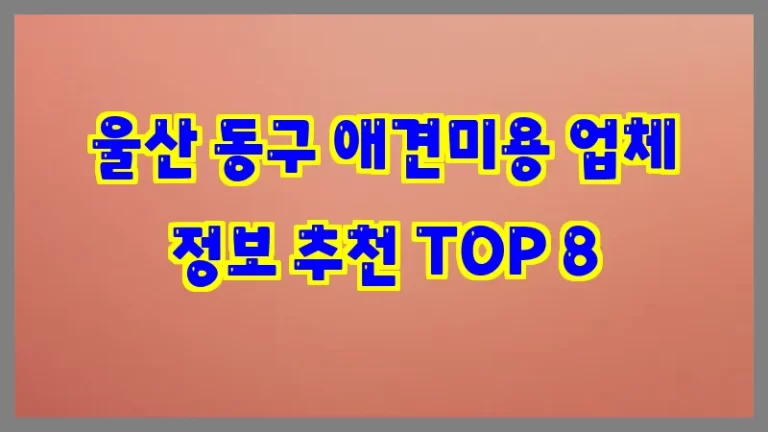 울산 동구 애견미용 업체 정보 추천 TOP 8