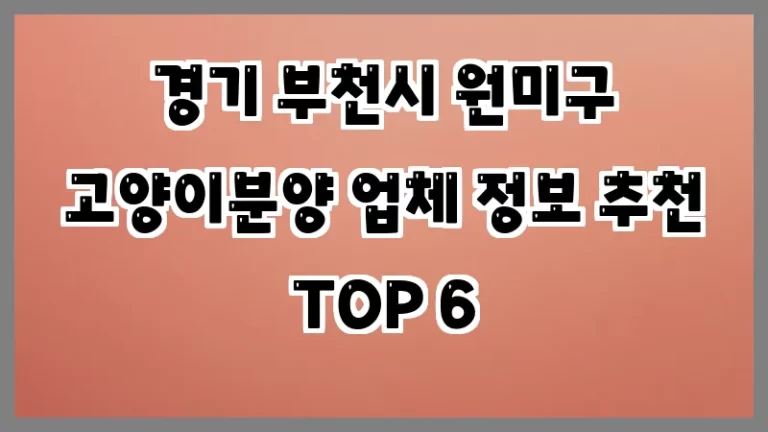 경기 부천시 원미구 고양이분양 업체 정보 추천 TOP 6