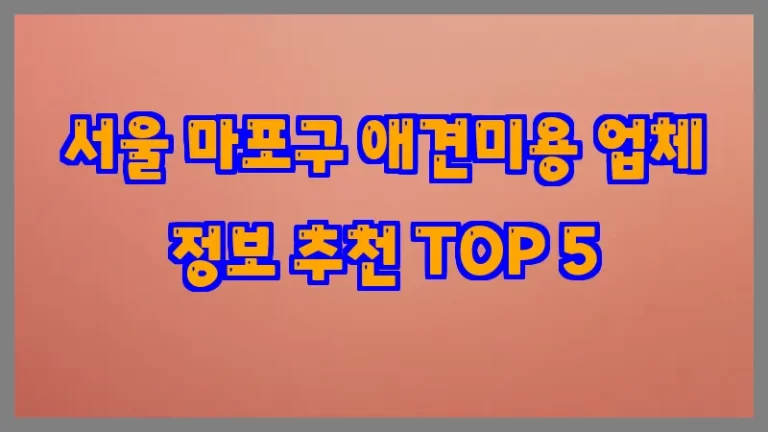 서울 마포구 애견미용 업체 정보 추천 TOP 5