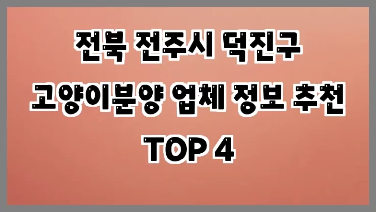 전북 전주시 덕진구 고양이분양 업체 정보 추천 TOP 4