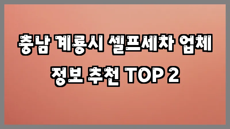 충남 계룡시 셀프세차