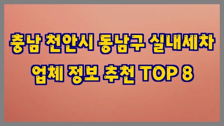 충남 천안시 동남구 실내세차 업체 정보 추천 TOP 8