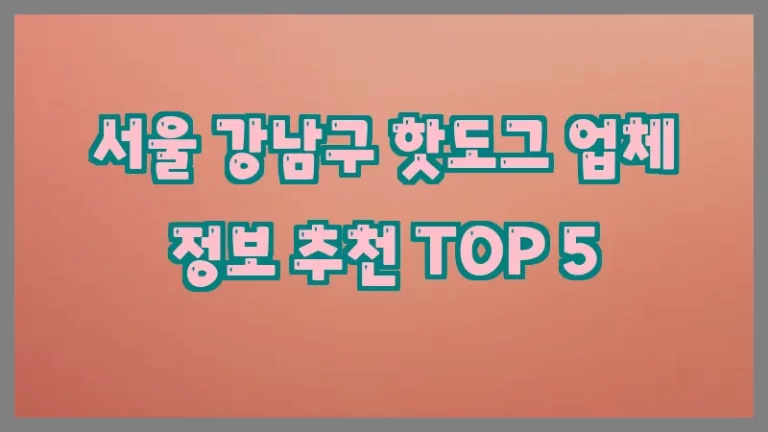서울 강남구 핫도그 업체 정보 추천 TOP 5